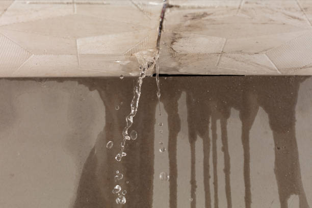 Professional Burst Pipe Cleanup technician working in Kissimmee, FL